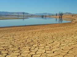 Anul 2013, cel mai calduros an inregistrat vreodata in Australia