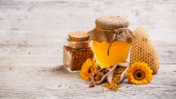 Propunerea legislativa care defineste polenul ca un constituent natural al mierii