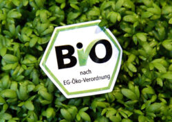 Agricultura ecologica: 10 aspecte de care tinem cont!