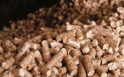 Contribuie la dezvoltarea sectorului de Biomasa si Biogaz prin informatii cu privire la costurile reale ale unui proiect de BioEnergie