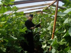 Calugarii unei manastiri din Moldova si-au facut ferma ecologica: Isi vand produsele pe internet