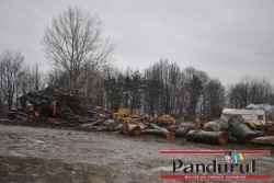 Padure defrisata intr-o comuna deja distrusa de alunecarile de teren