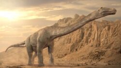 Paleontologii au descoperit doua specii de dinozauri in Peninsula Arabica