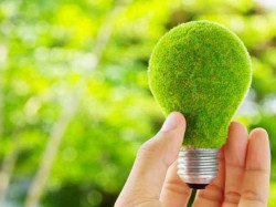 Energia regenerabila a ajuns un business in care activeaza 560 de producatori. In 2009 erau numai 31 de firme
