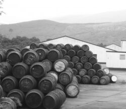 Rau scotian poluat cu whisky
