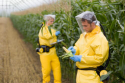 Directorul general al FAO: "Nu avem nevoie de Organisme Modificate Genetic la nivel mondial pentru a aborda problema foametei