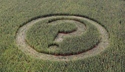 Conflictele comerciale ale UE - Carnea de vita, alimentele OMG, bananele si panourile solare