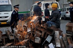 Beijing: 500 de gratare, victime ale razboiului impotriva poluarii gratare