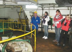 Peste 300 de microhidrocentrale, functionale