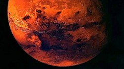 Cercetatorii sustin ca in viitor vor putea fi cultivate plante alimentare pe Luna si Marte