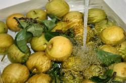 Lichidul-minune care indeparteaza pesticidele si bacteriile rezistente la apa de pe fructe si legume, pe piata din Moldova