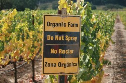 Firmele care certifica produsele ecologice vor fi supuse verificarii de catre Ministerul Agriculturii