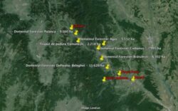 RISE Project: Ce se ascunde in spatele celei mai mari afaceri cu paduri din Romania