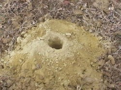 Prospectiuni SA „cutremura” comunele judetului Neamt