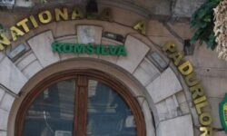 Romsilva da 3 milioane lei pentru un centru de vizitare al Parcului National Domogled