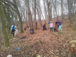 160 de saci de gunoi la igienizarea padurii