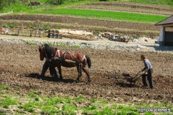 Cum poti devenii un taran ecologic de succes?