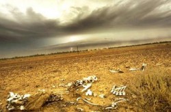 STUDIU: Temperaturile globale ar putea creste cu cel putin 4 grade Celsius pana in 2100