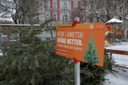 Viena: Brazi de Craciun utilizati in scopuri ecologice