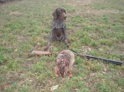 La colectat PET-uri: Sarmanii Galatiului, mai eficienti decat Ecosal