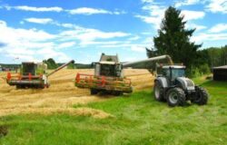 Turbinele eoliene ii ajuta pe cultivatorii de legume din SUA