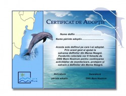 Mare Nostrum lanseaza campania “Adopta un delfin”
