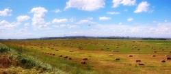 Rapoartele Mining Watch Romania