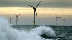 Extinderea celei mai mari centrale eoliene din lume, oprita de pasari