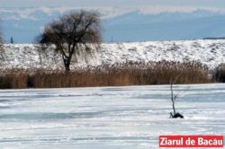 Copiii proiecteaza localitati in perimetrul ariilor naturale protejate din judetul Bacau