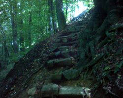 Ocolul Silvic Baia Mare doreste infiintarea unui parc natural de peste 20.000 hectare pe Valea Firizei