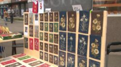 Florea de colti, o specie protejata de mai bine de 80 de ani, se vinde in Cluj-Napoca ca suvenir