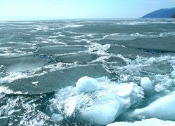Pamintul se cufunda in intuneric din cauza incalzirii globale