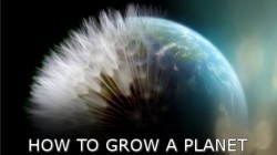 Planeta Bolnava