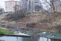 Ecologistii acuza: In Peta se varsa ilegal apa de canalizare menajera
