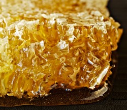 ECO&BIO Mierea cu hribi de padure produsa in Salaj - cel mai exclusivist produs de gen din Europa