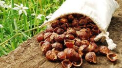 Solutia Bio cu care poti spala haine tot anul cheltuind doar 45 de lei