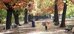 Coalitia pentru Mediu protesteaza fata de modificarea Legii spatiilor verzi