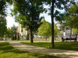 ONG-urile trag un semnal de alarma. In ce s-ar putea transforma Parcul Tineretului sau Parcul Izvor?