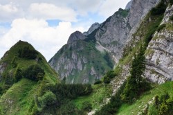 Punct de vedere al Administratiei Parcului National Piatra Craiului referitor la recenta distrugerea a doua refugii in parc