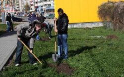 Parteneriat pentru crearea unei zone de biodiversitate pe malurile Petei