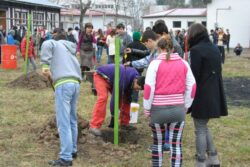 “Un pom pentru fiecare” la Centrul Scolar pentru Educatie Incluziva “Alexandru Rosca”