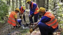 Prospectiuni SA a finalizat proiectul 3D Transilvania Sud, pentru Romgaz