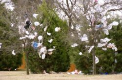 Masinile alimentate cu pungi de plastic ar putea combate criza carburantilor si cea ecologica
