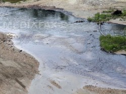 Un parau care se varsa in raul Vedea, in Arges, a fost poluat cu aproximativ 800 de litri de titei
