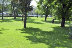 Un ONG din Cluj-Napoca propune ”exproprierea pentru spatii verzi”
