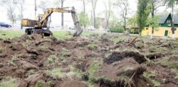 Atacul final asupra spatiilor verzi urbane. Plamanii oraselor, la mana primarilor