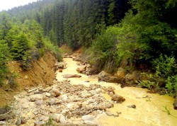 Lucrari de remediere ecologica de doar 2,5 milioane lei in perimetrele miniere sucevene