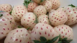 Fructe hibrid pe care trebuie sa le incerci macar o data in viata