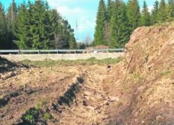 Poiana de la Garana, distrusa de ucigasii padurilor