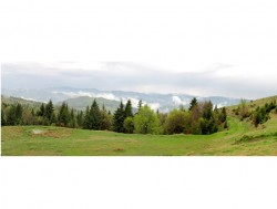 370 mii euro pentru identificarea plantelor si animalelor din Parcul Natural Putna